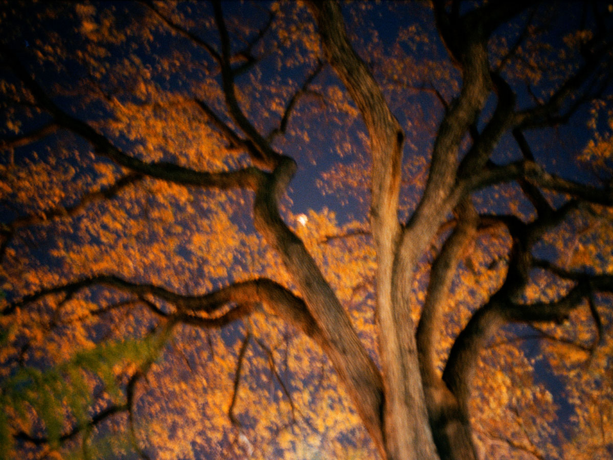 Eclipse (2005), Lambda Print 30 x 40 in. sitios cosas gente (2006) - Exhibición fotográfica por Tristán Reyes