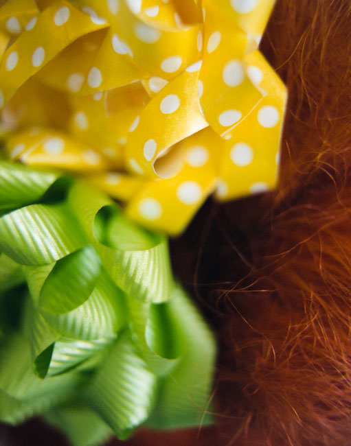 Franchesca- Moña (2005) Franchesca siempre con el shopper (2005) - Fotografía por Tristán Reyes