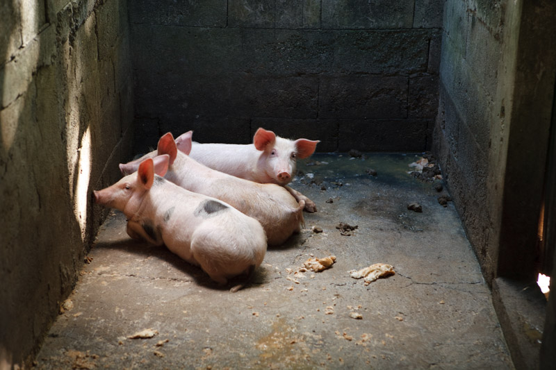 Río Nuevo (publicadas 2015) 27 Río Nuevo (2009) - Fotografía por Tristán Reyes