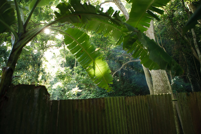 Río Nuevo (publicadas 2015) 28 Río Nuevo (2009) - Fotografía por Tristán Reyes